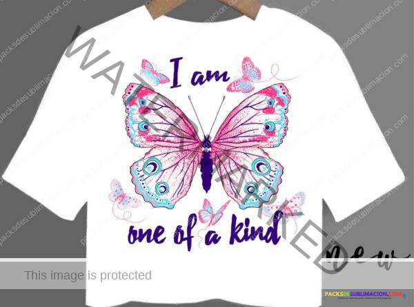 340837299_260802242950235_2784146110682678606_n