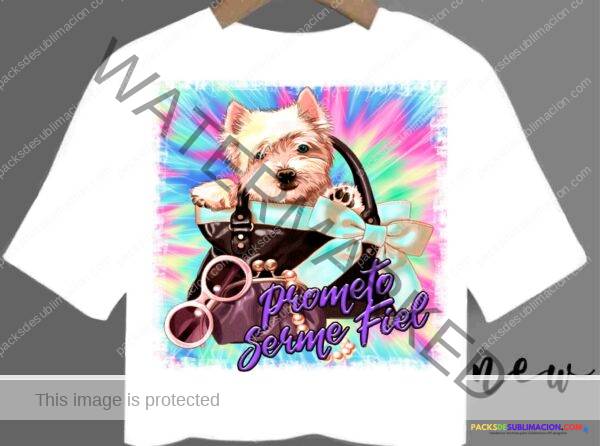 341365741_6296553837054299_3510369768490045300_n